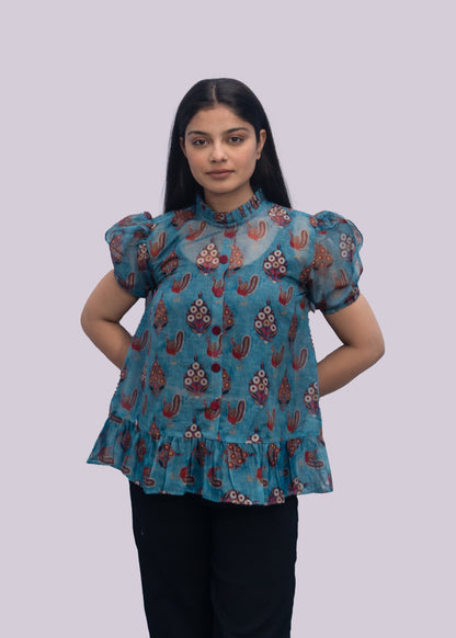 Anikrriti Organza Top - Anikrriti