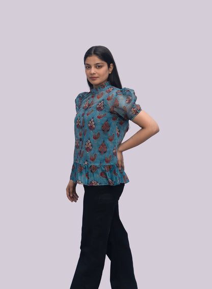 Anikrriti Organza Top - Anikrriti