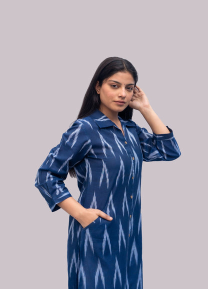 Anikrriti Ikkat Kurti - Anikrriti